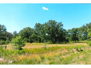 122+/- Acre parcel of land with 56+/- tillable, 65+/- woods, and pasture land plus a small creek running through property.

The cell tower is not included with this farm.
 - Tillable Land, Recreational Land, Woods, Pasture Land & Small Creek